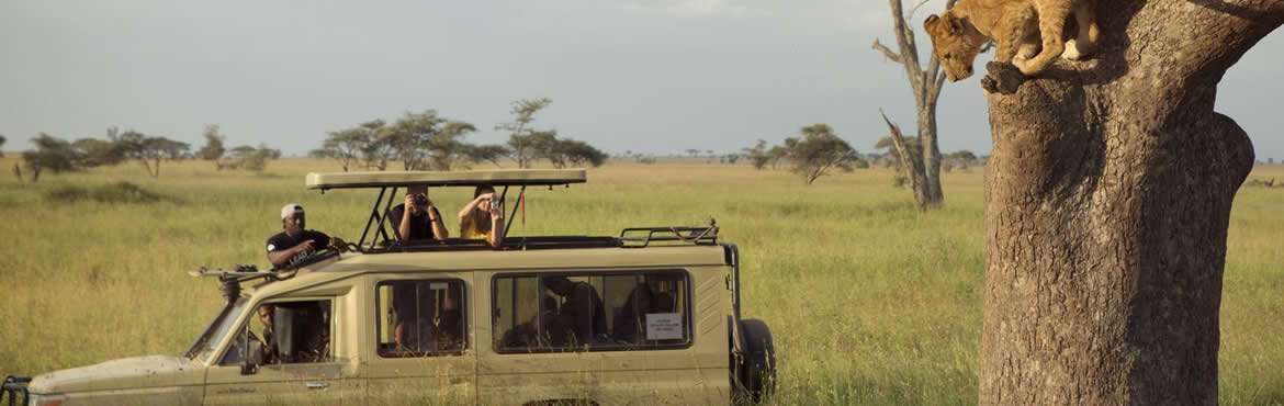 pop-up jeep