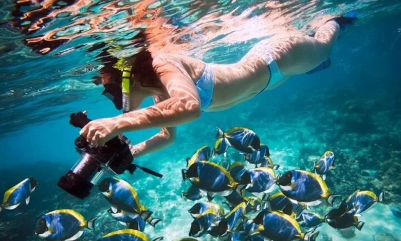 Egypt’s Red Sea: Africa diving