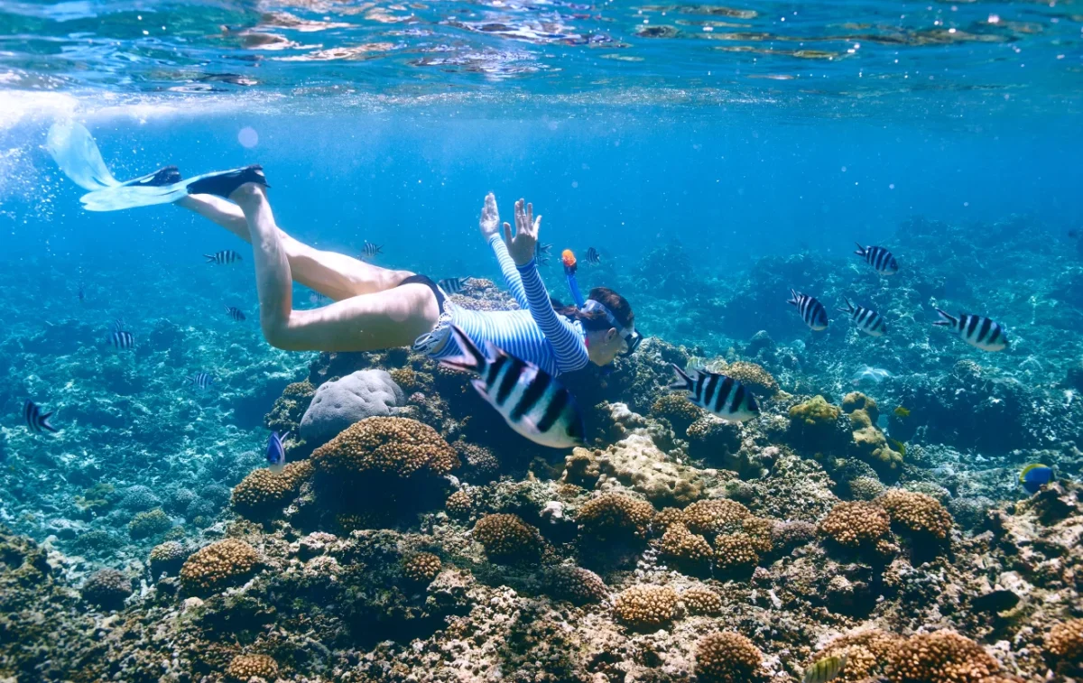snorkeling in africa
