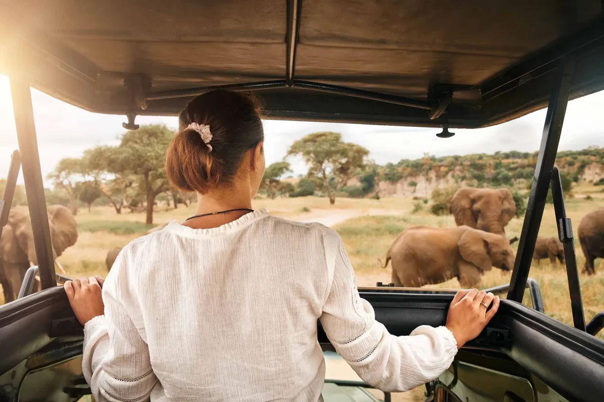 solo-safari_africa
