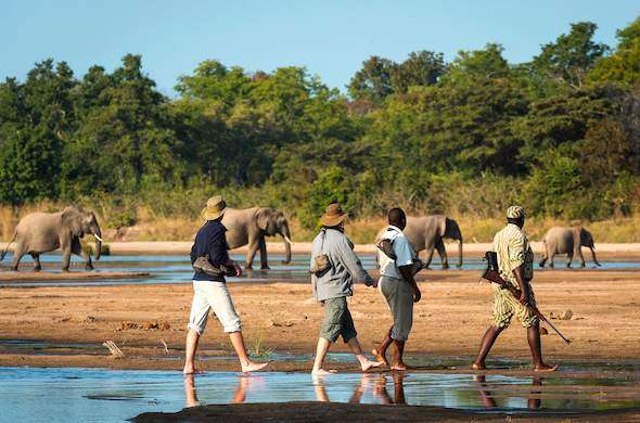 walking safari in africa