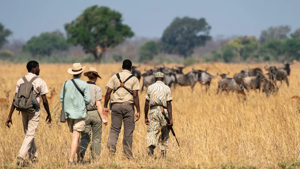 walking-safari-in-africa
