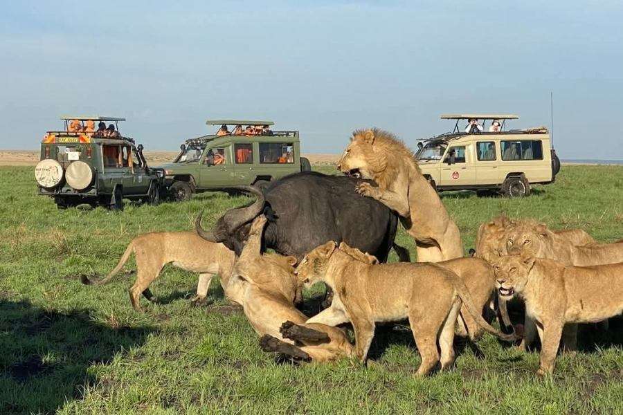 7 Day Kenya Safari Itinerary