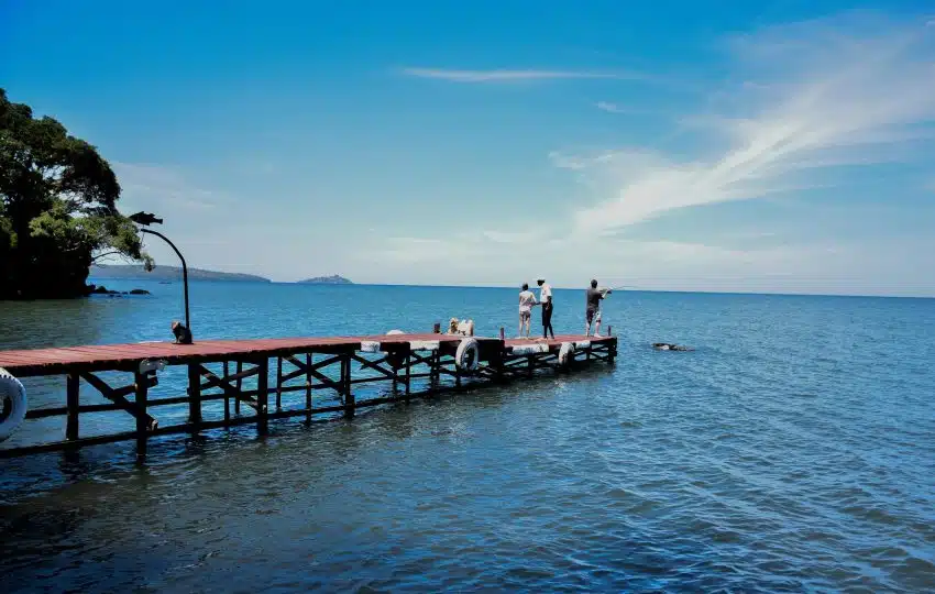 Mfangano Island