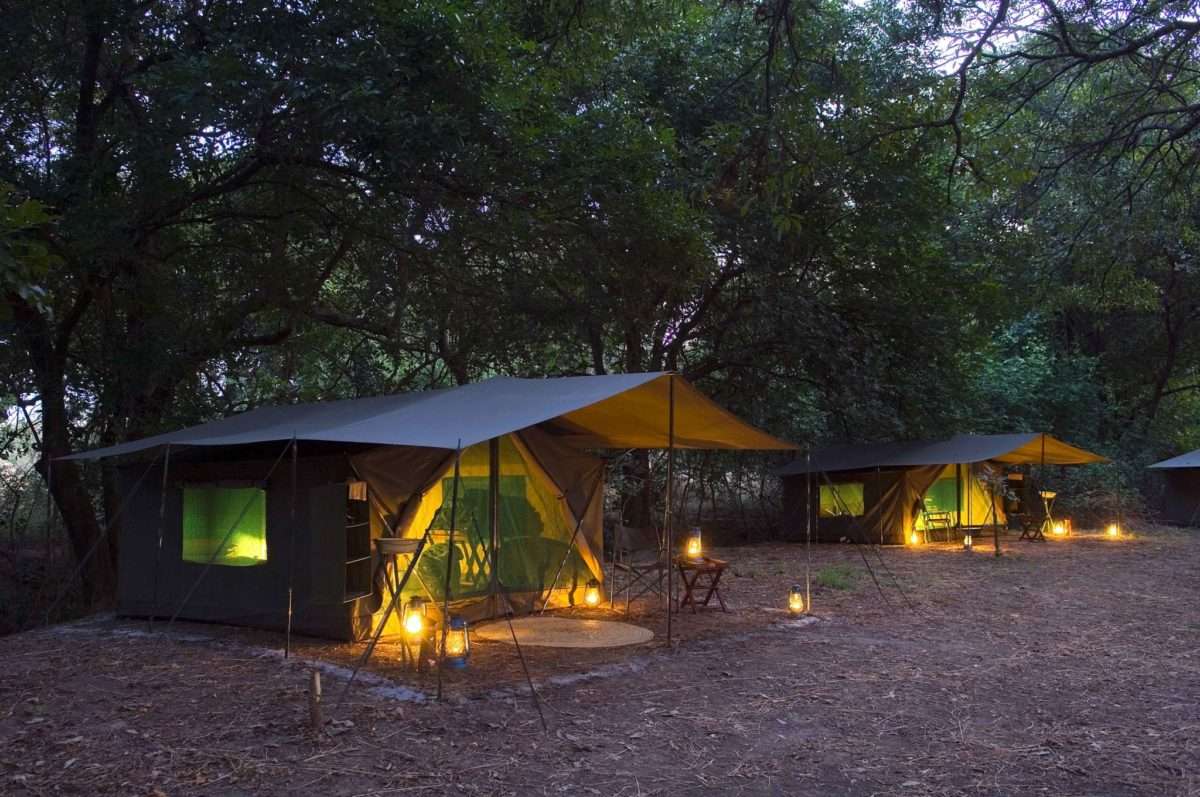 South Luangwa zambia