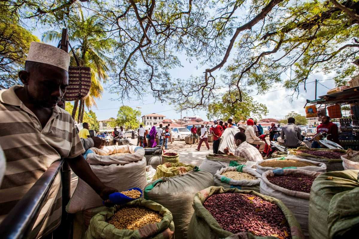 Stone Town Walking and Night Markets, Zanzibar