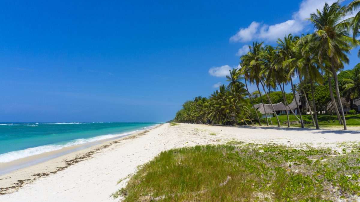 Tiwi Beach