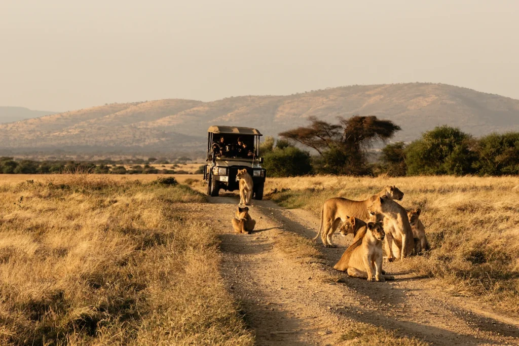 amboseli-game-drive