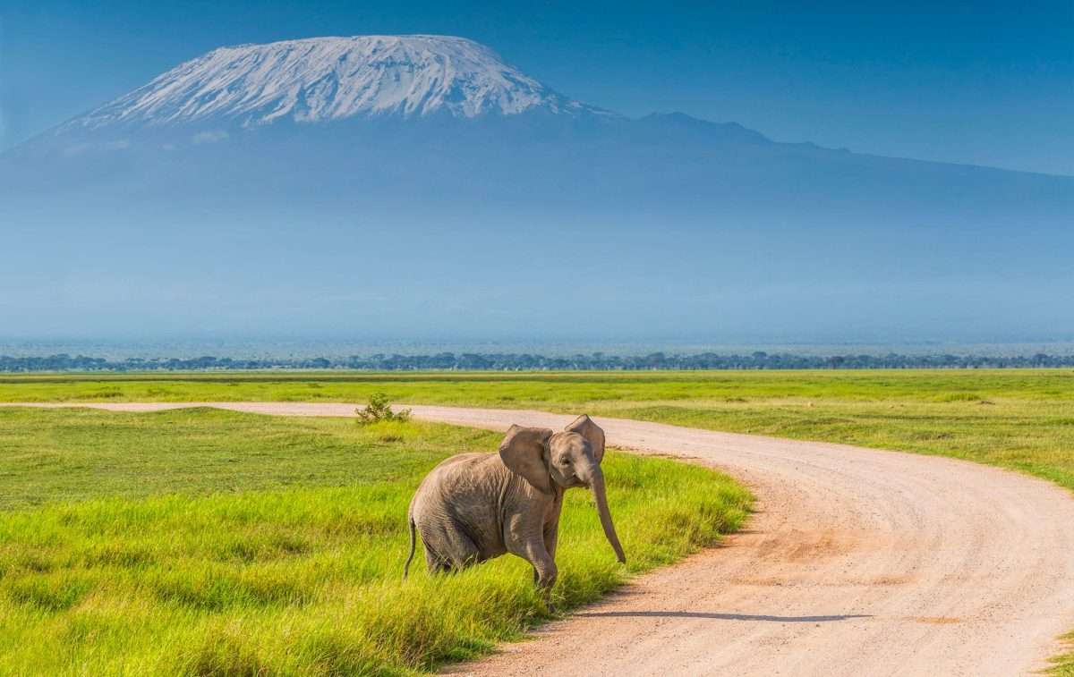 amboseli-national-park