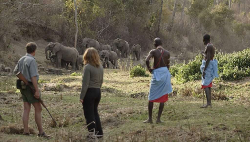amboseli-walking-safari