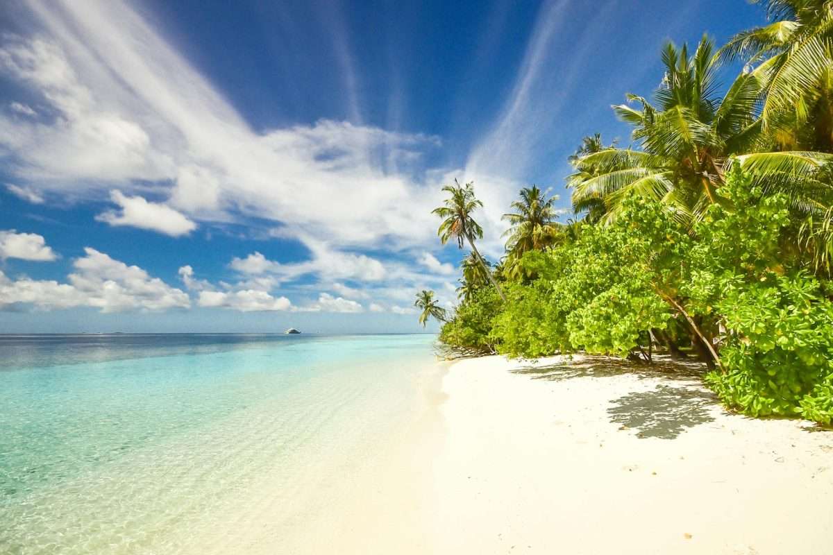 bofa-kenya-beach