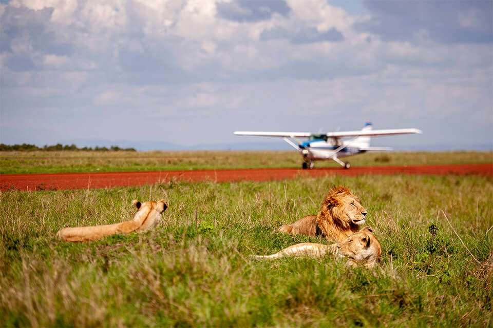 kenya-flyin-Safari