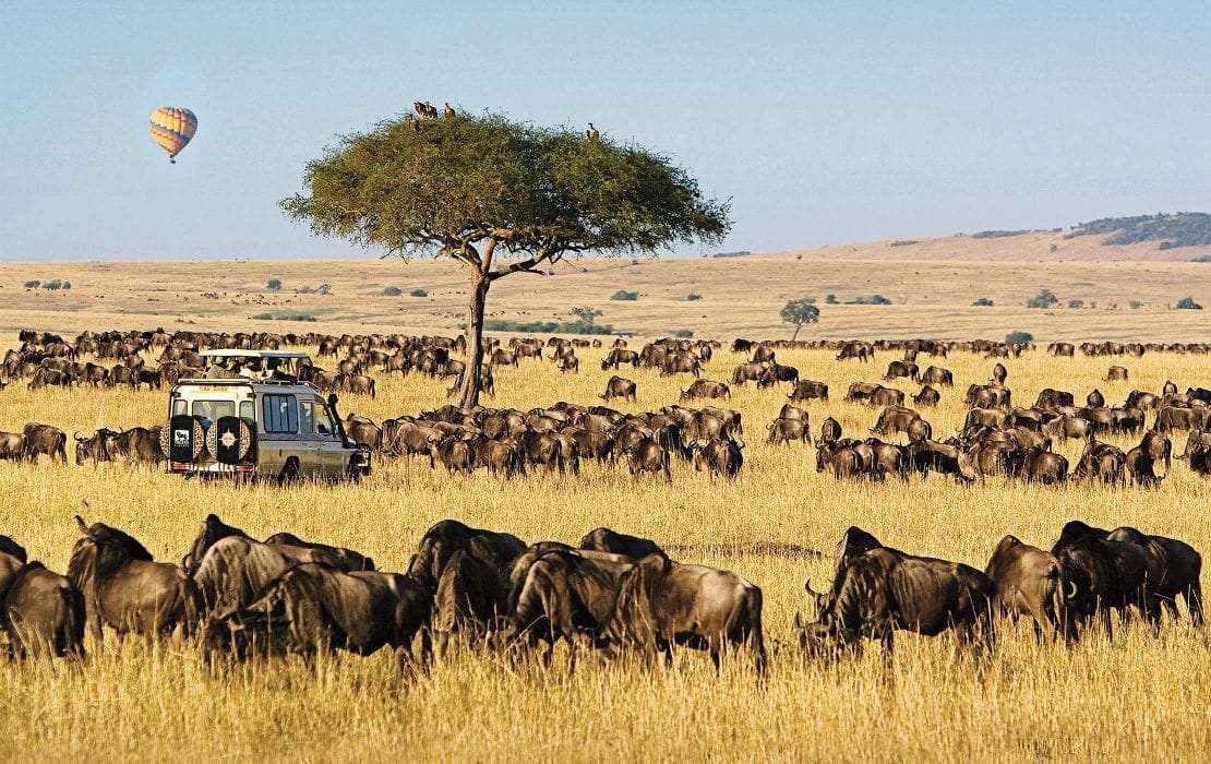kenya-safari-tours