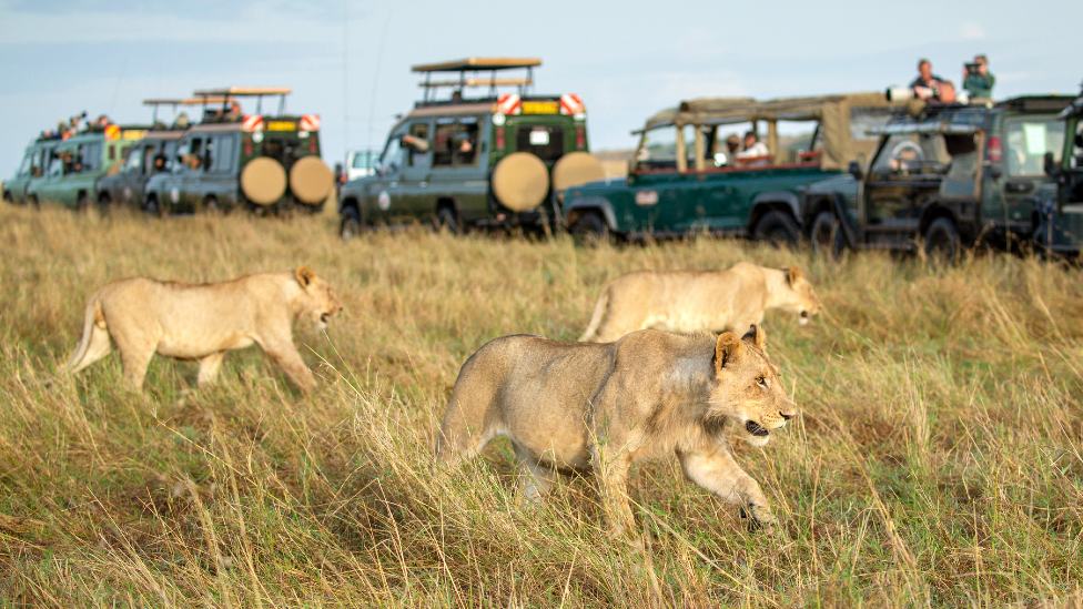 7-day-kenya-masai-mara-safari-itinerary