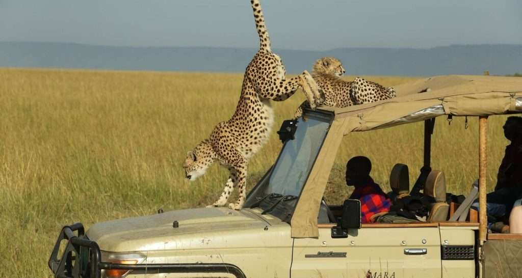 8-day-kenya-safari-tour
