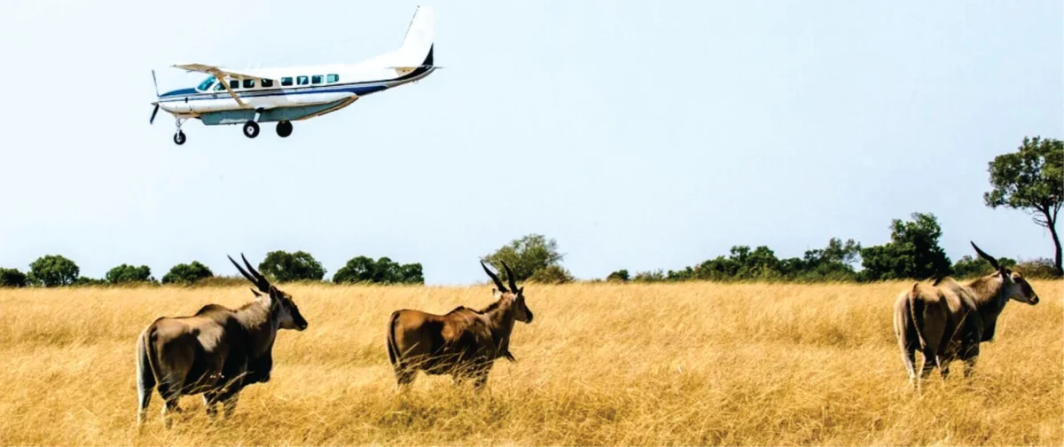 plane-flying