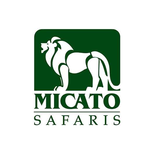 African safari tour company logo