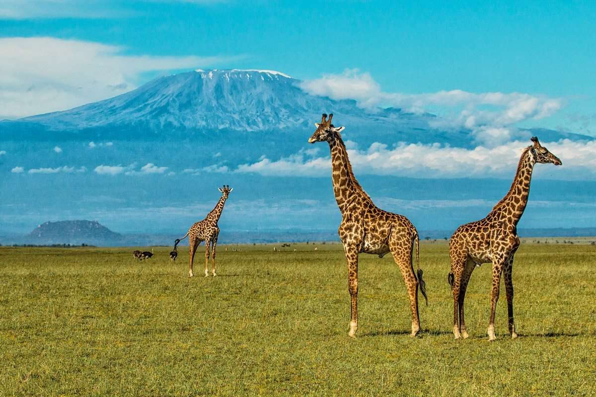 Chyulu Hills