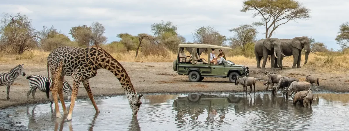 Travel-Tips-for-Lake-Manyara-National-Park