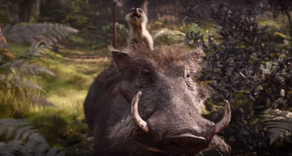Pumbaa the Warthog