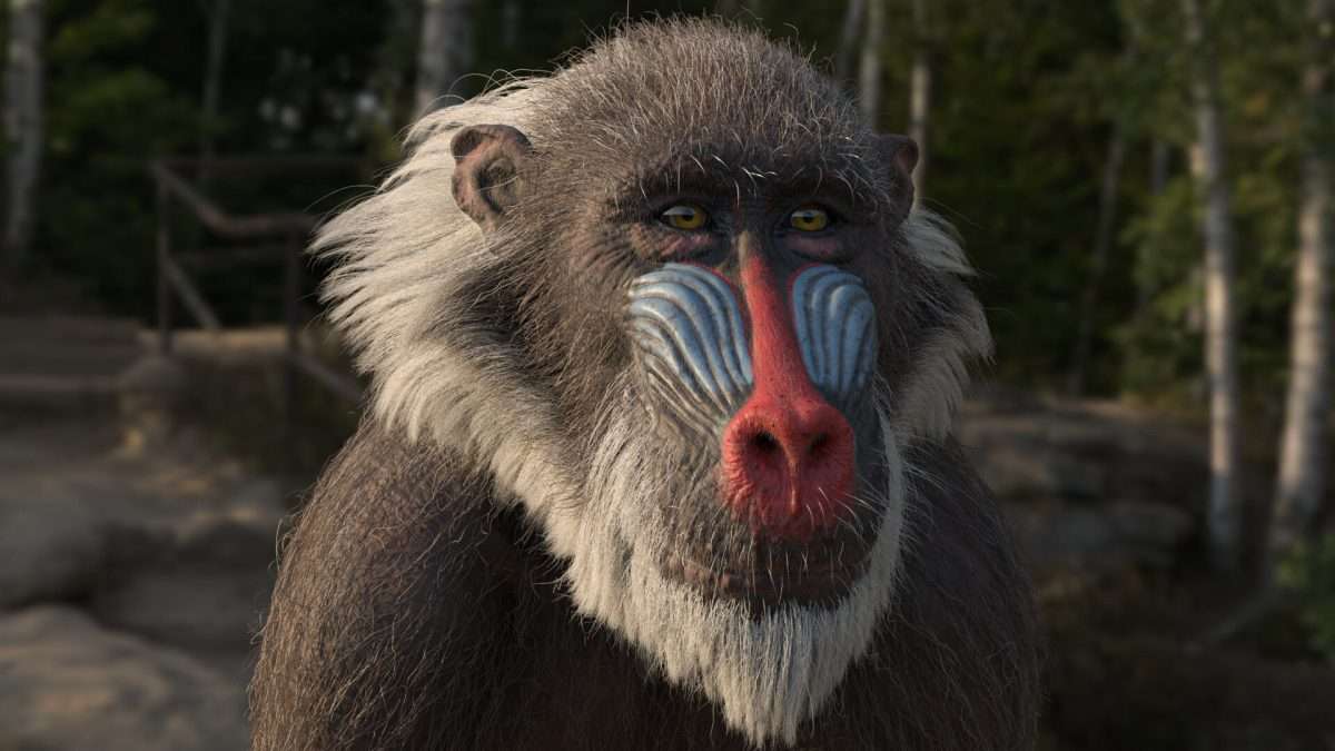 Rafiki the Mandrill