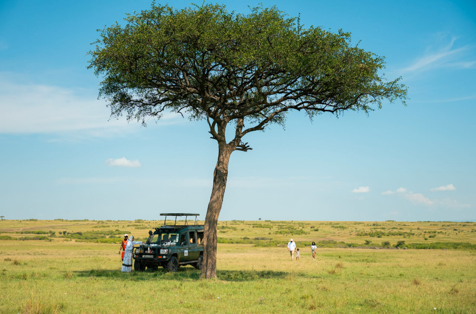 Kenya safari