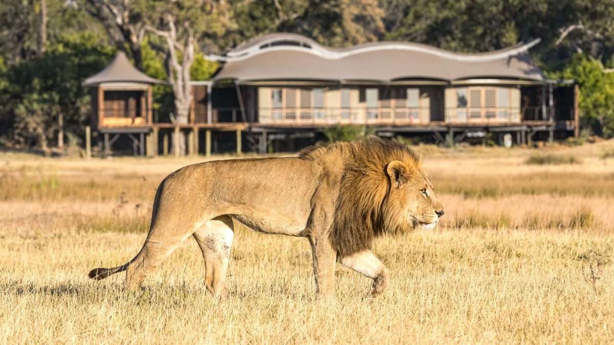 Xigera Safari Lodge, Botswana