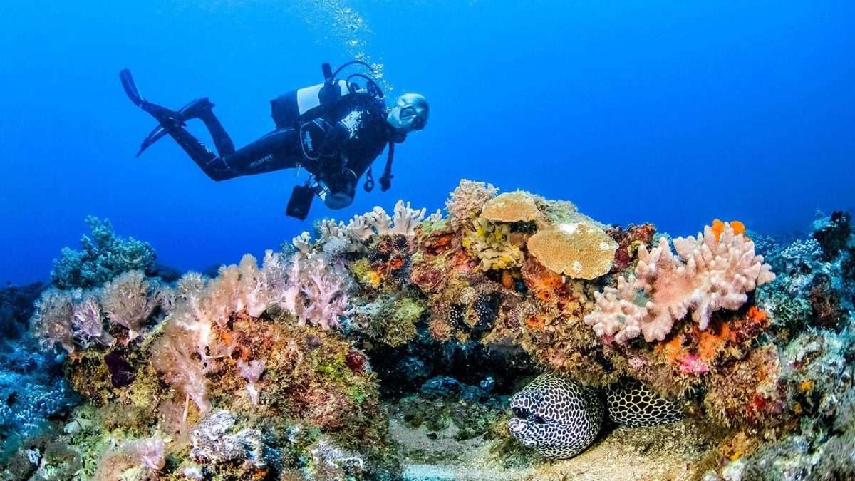 diving