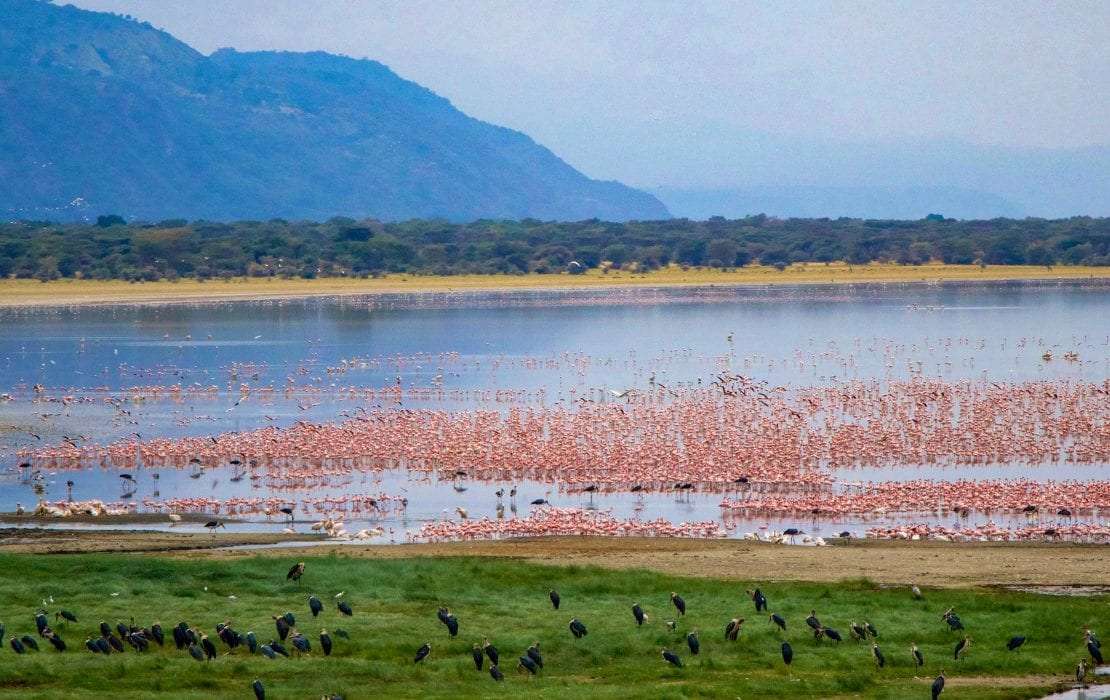Alkaline Lake