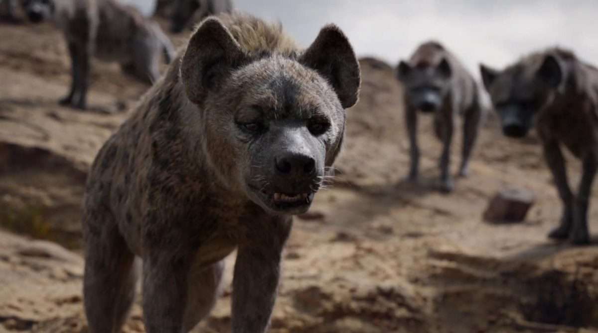hyenas