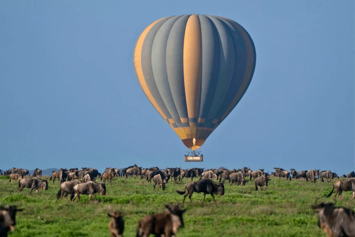 Ndutu launch site hot air balloon ride serengeti