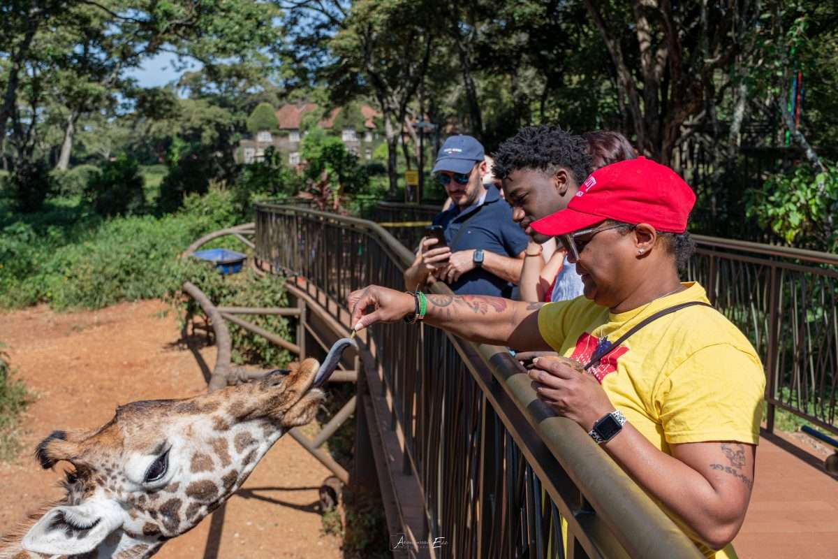 Giraffe Center Nairobi