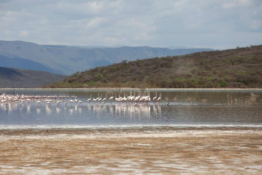 Lake Baringo