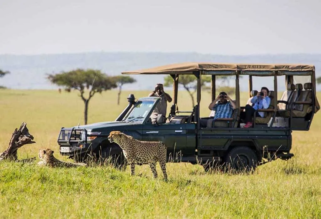 Game-Drive-safari