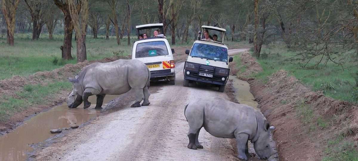 Game Drives