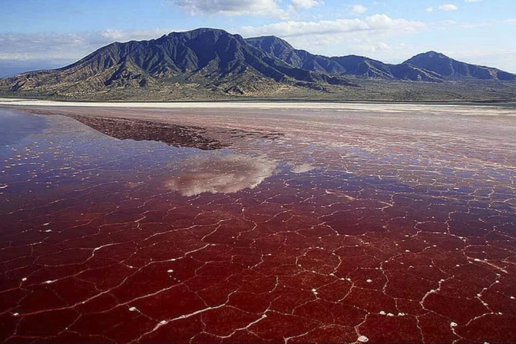 Lake Natron