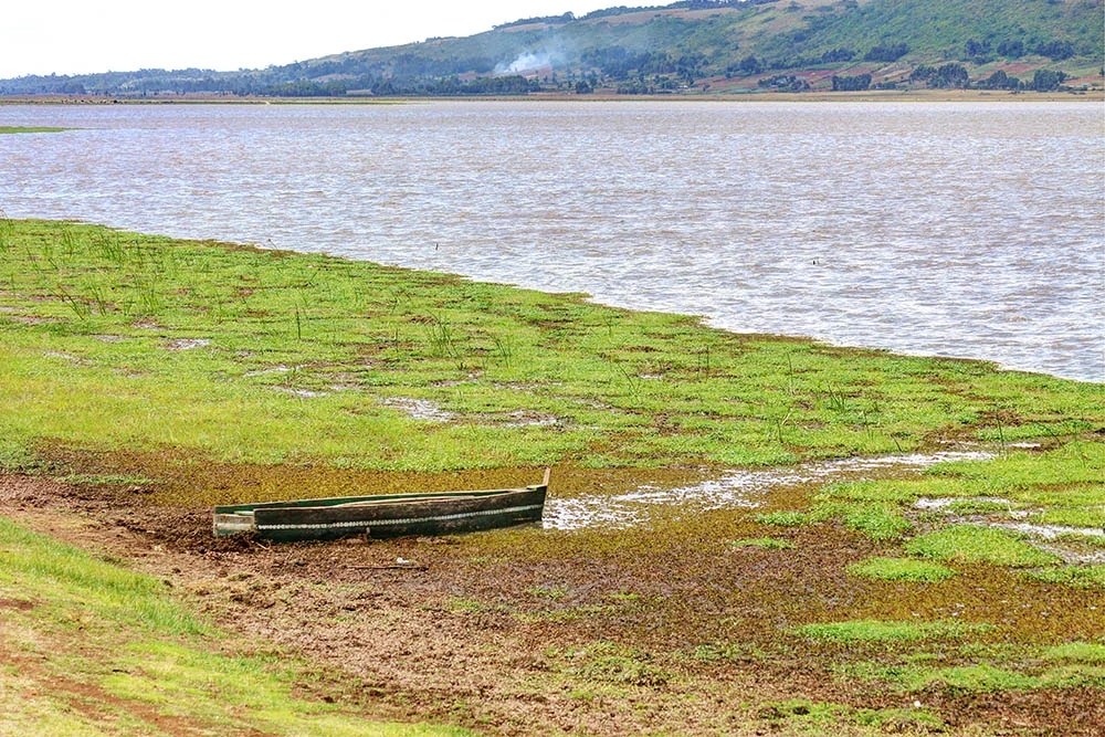 Lake Ol Bolossat