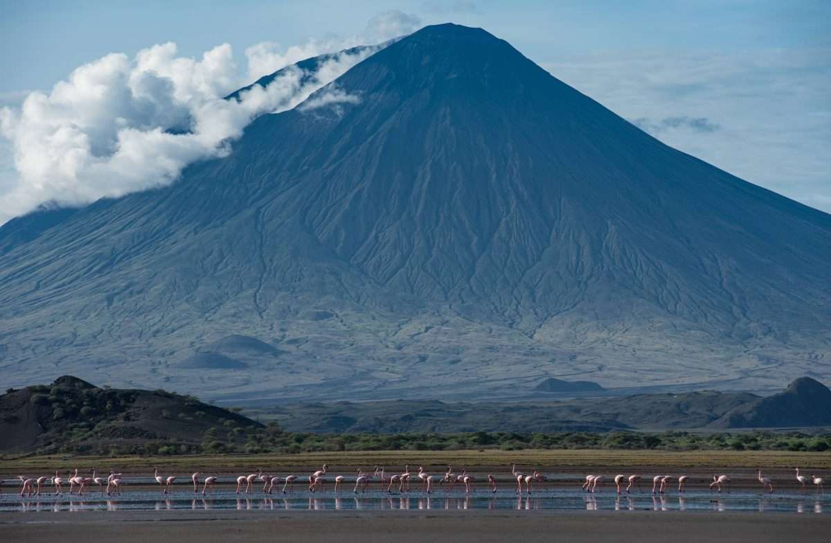 Lake_Natron_Flamingos-new