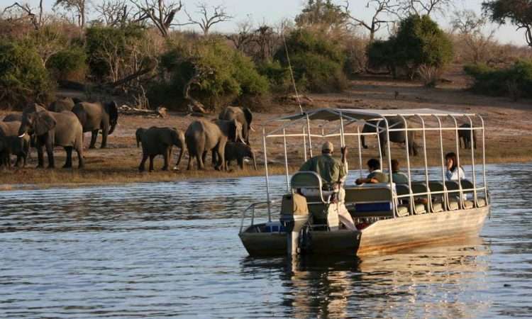 Mara River Boat Safari