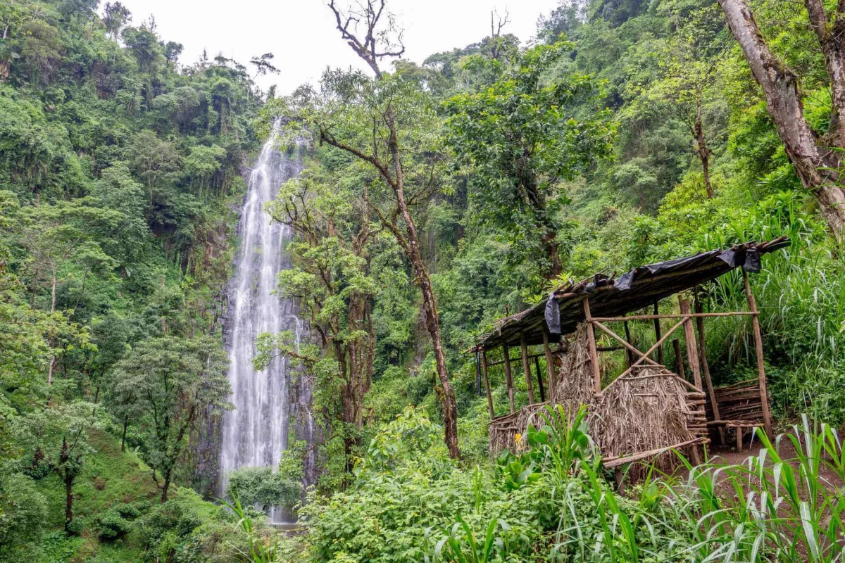 Materuni-Waterfalls-Coffee-Tour-Moshi-Tanzania