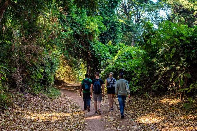 Rau Forest Reserve Moshi