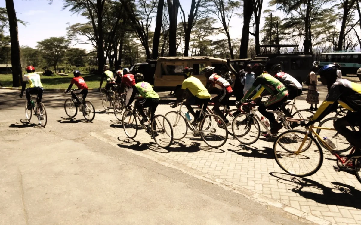 Cycle With the Rhino
