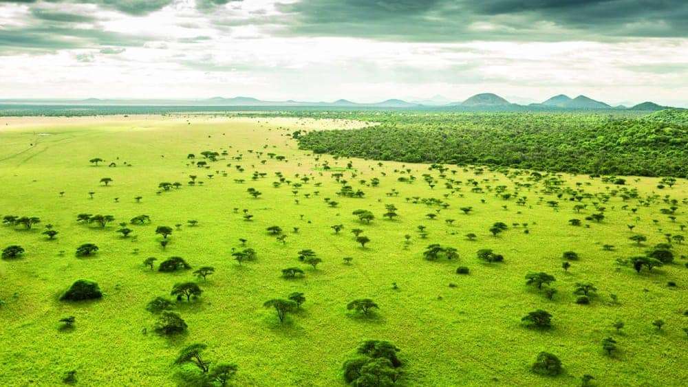 Masai Mara: Kenya's Crown Jewel of Safari