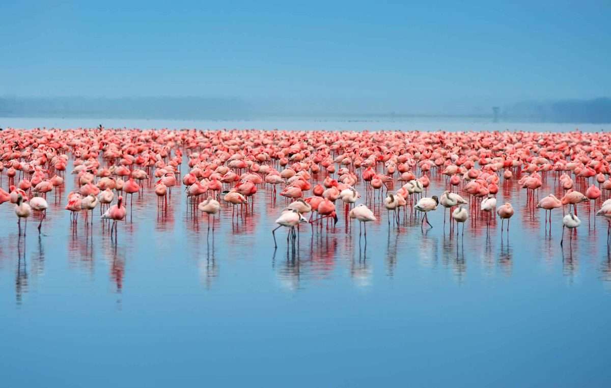Lake Eyasi Tanzania