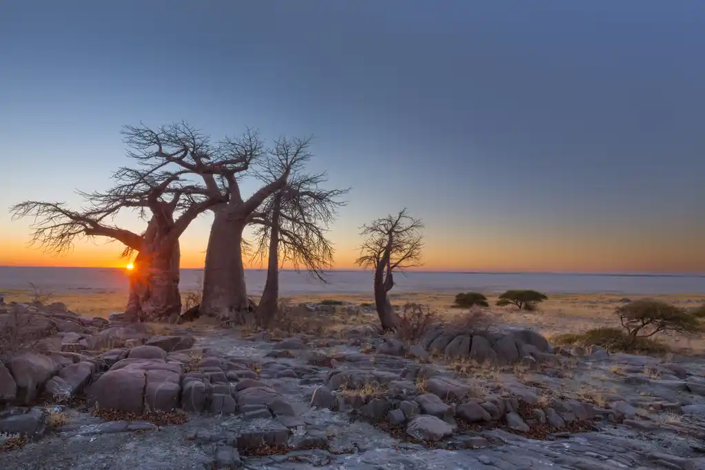 Nxai Pan National Park