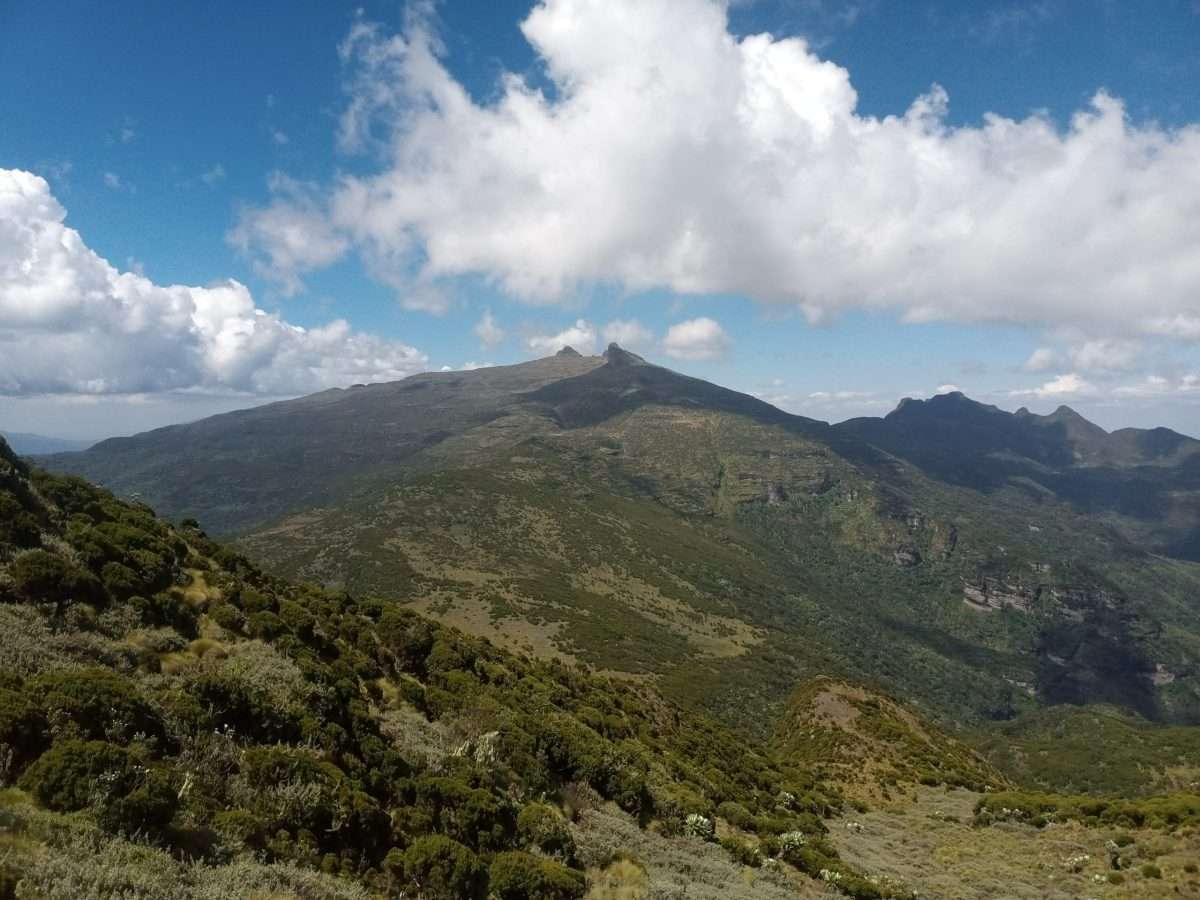Kinangop Grassland
